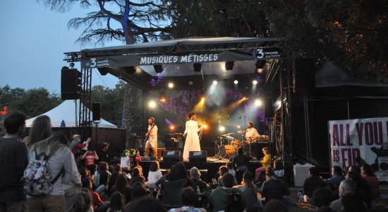 Festival Musiques Métisses