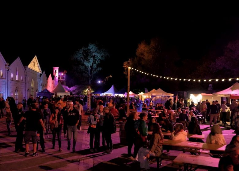 Festival Musiques Métisses