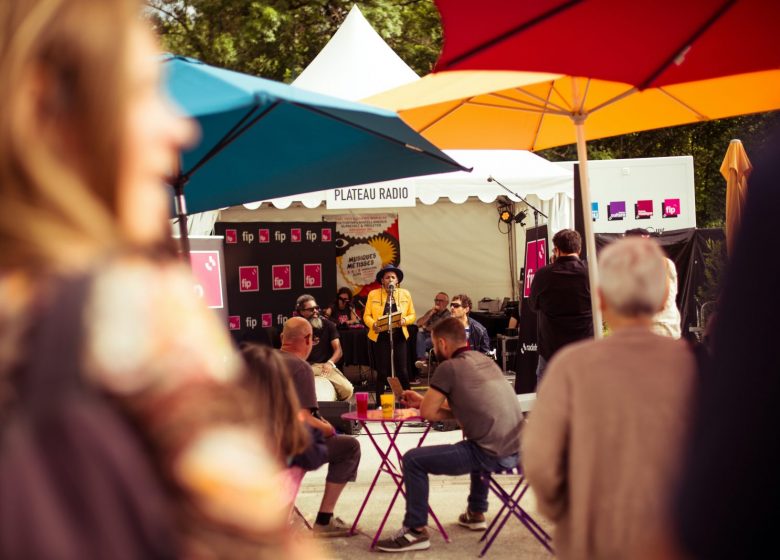 Festival Musiques Métisses