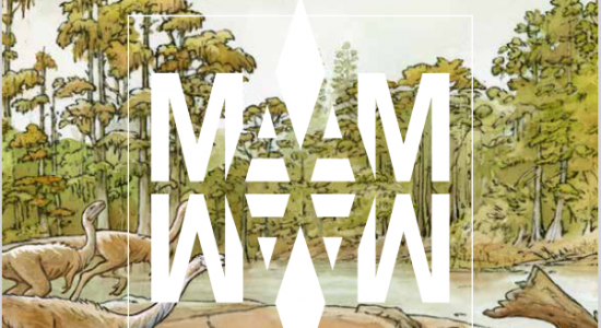 Musiques Métisses – Sieste musicale