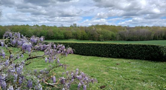 « L&rsquo;Épine »