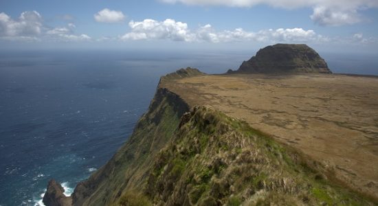 Exposition – Sur les terres australes