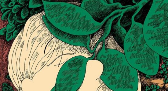 Exposition – La timidité des arbres – Le Grand Off de la bande dessinée