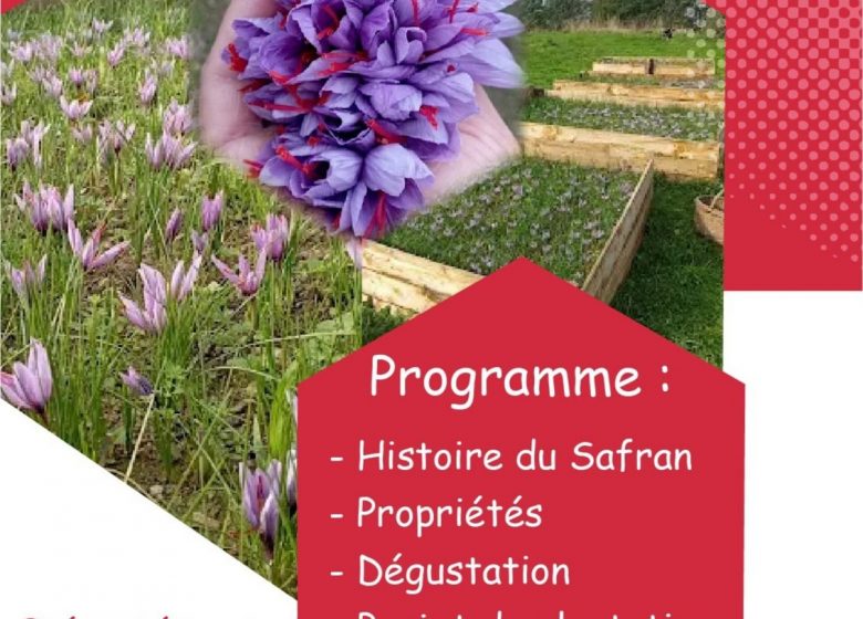 Animation – Découverte du Safran