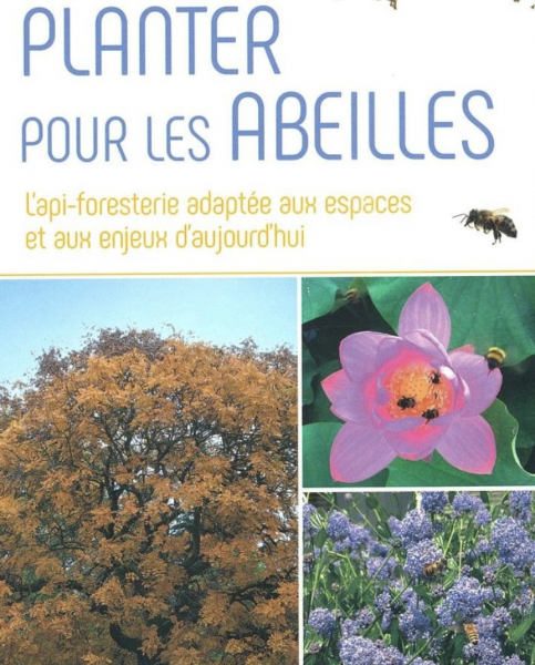 Conférence des fleurs pour nos abeilles