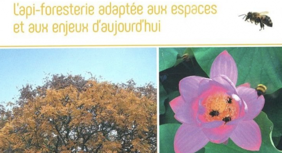 Conférence des fleurs pour nos abeilles