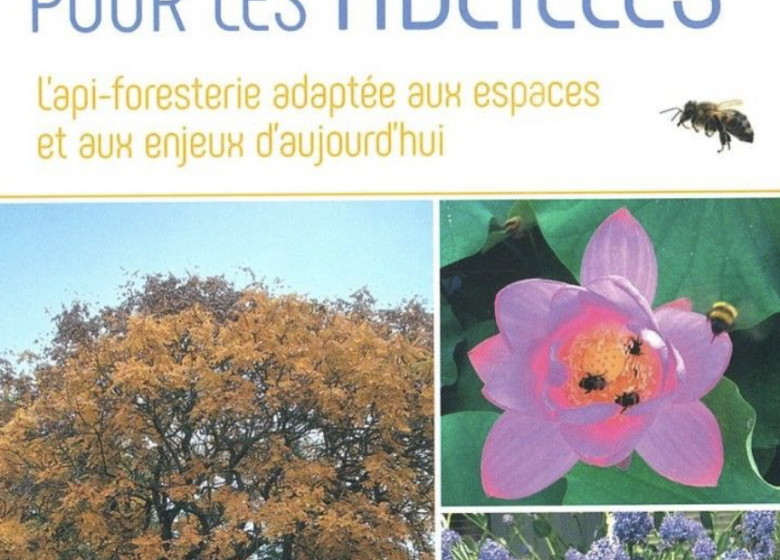 Conférence des fleurs pour nos abeilles