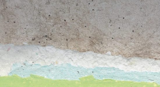 Exposition – À fleurs de papiers