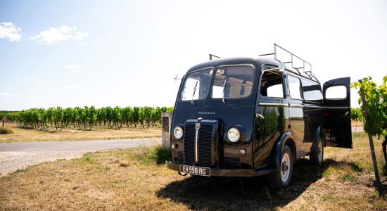 Bourgoin Cognac – Expert : Safari dans le vignoble.