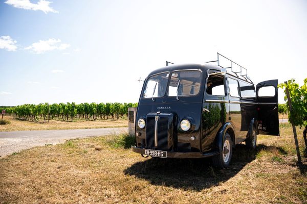 Bourgoin Cognac – Expert : Safari dans le vignoble.