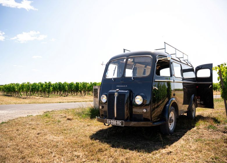 Bourgoin Cognac – Expert : Safari dans le vignoble.