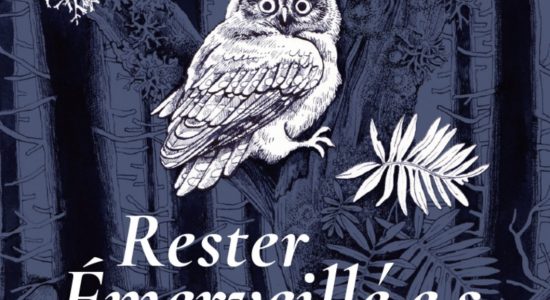 Exposition collective – Rester Émerveillé·e·s