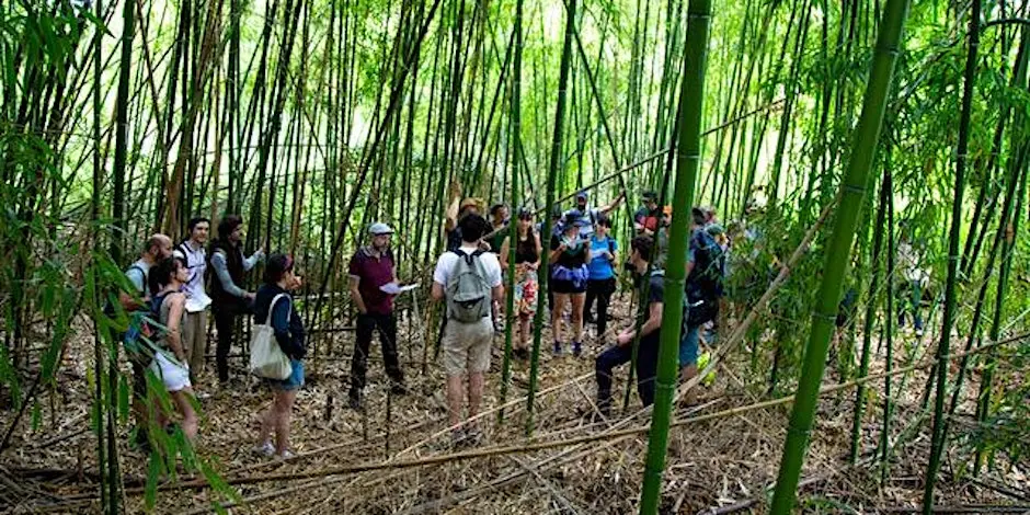 Balade de printemps Sentier métropolitain de GrandAngoulême « A la recherche des ruisseaux urbains »