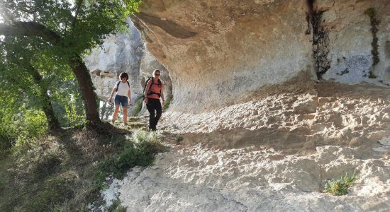 Balade de printemps Sentier métropolitain de GrandAngoulême « Balade nature aux Eaux Claires »