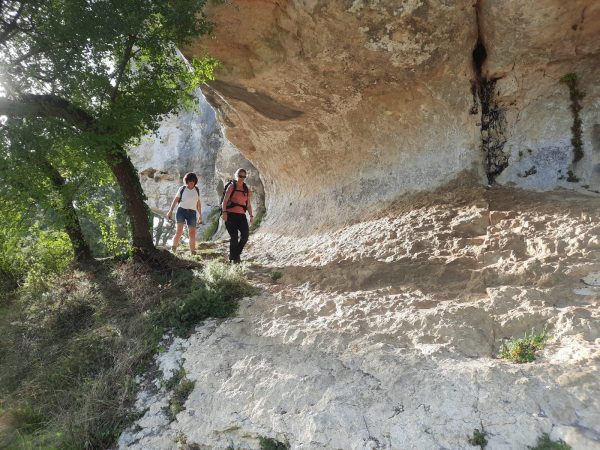 Balade de printemps Sentier métropolitain de GrandAngoulême « Balade nature aux Eaux Claires »