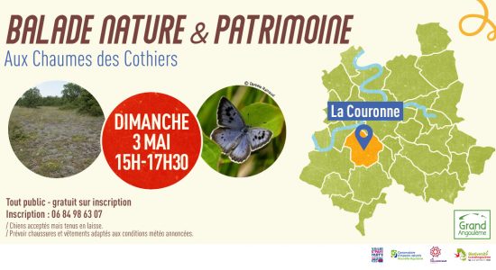 Balade nature et patrimoine : A la découverte des chaumes des Cothiers à La Couronne