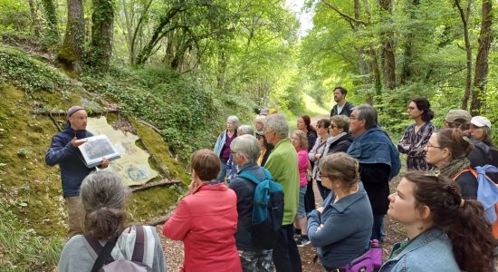 Balade Nature & Patrimoine – Les meulières de Mouthiers