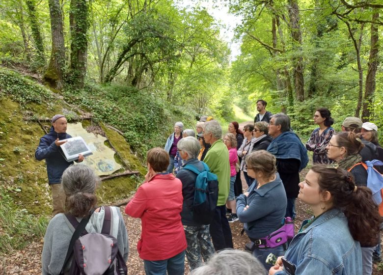 Balade Nature & Patrimoine – Les meulières de Mouthiers