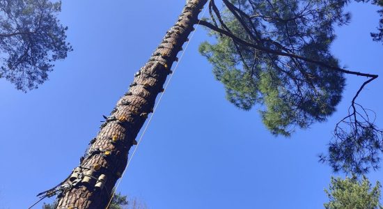 Accro parc Nature Sensations Aventures