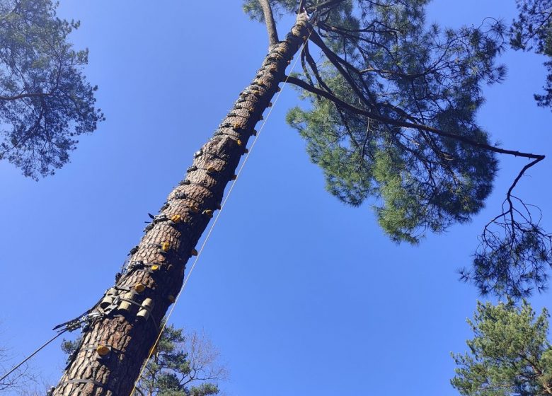 Accro parc Nature Sensations Aventures