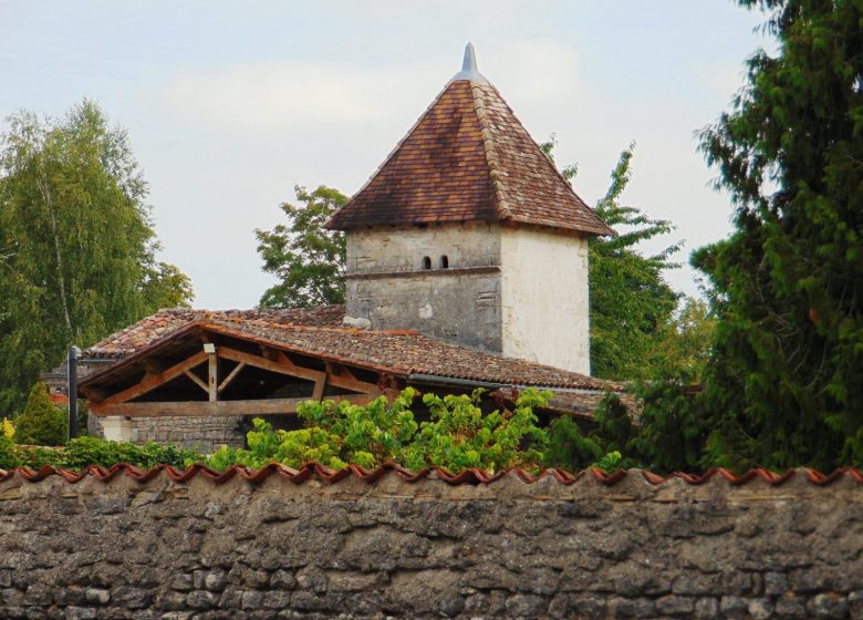 Circuit entre vignes et Nouère