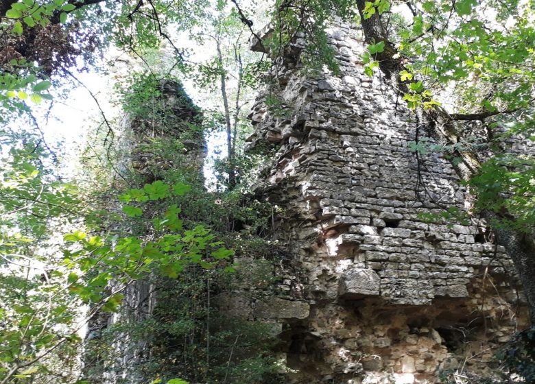 Circuit des 4 combes