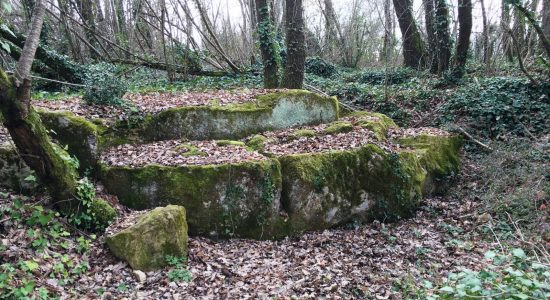 Circuit entre vignes et pierres