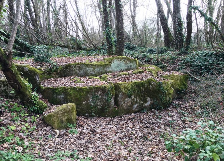 Circuit entre vignes et pierres