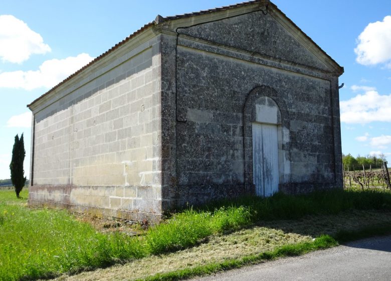 Circuit entre vignes et pierres