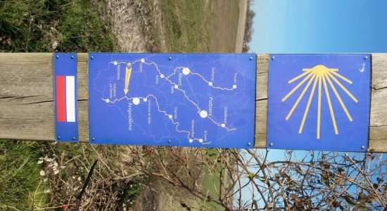 Circuit des collines