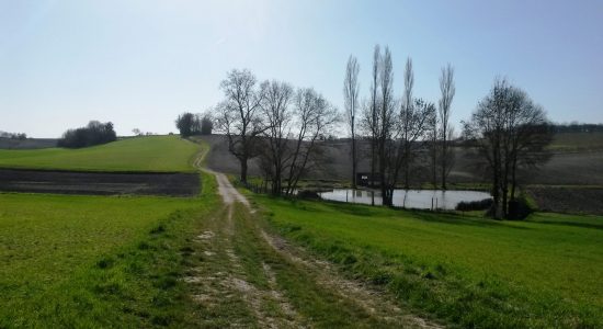 Circuit des collines