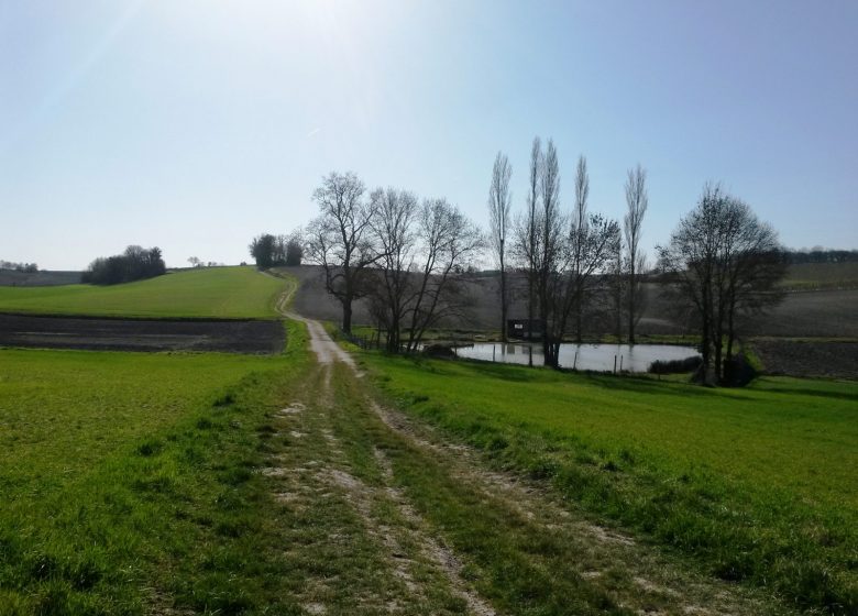 Circuit des collines