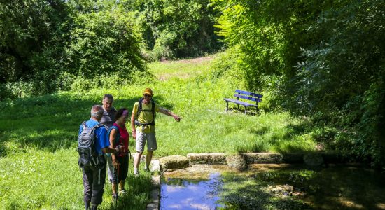 Circuit d’un bois à l’autre