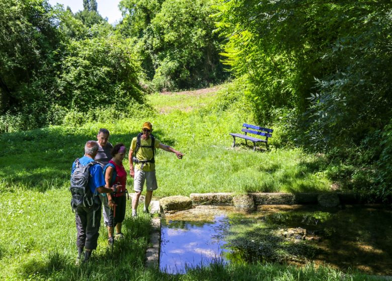 Circuit d’un bois à l’autre