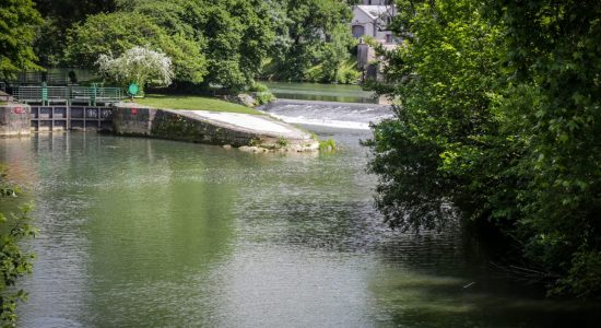 Le Périph’vert