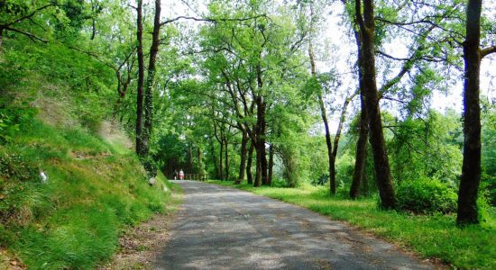 Sentier de la Vallée de l’Anguienne