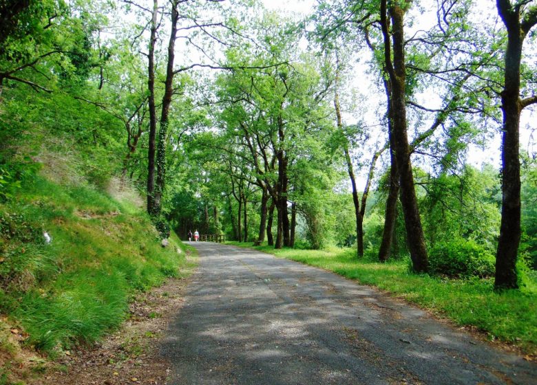 Sentier de la Vallée de l’Anguienne