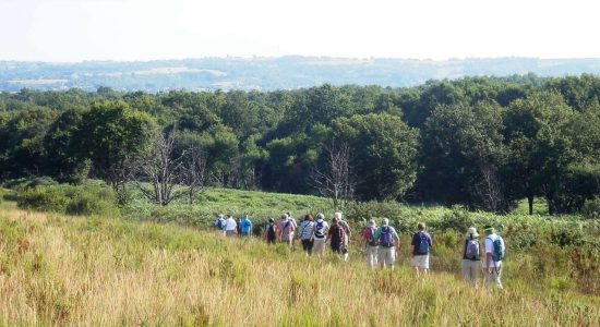 Sentier des brandes