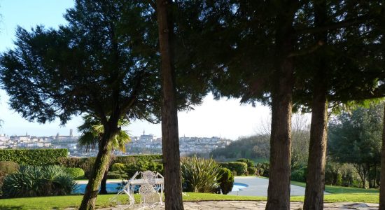 Champ Fleuri – Chambre BD