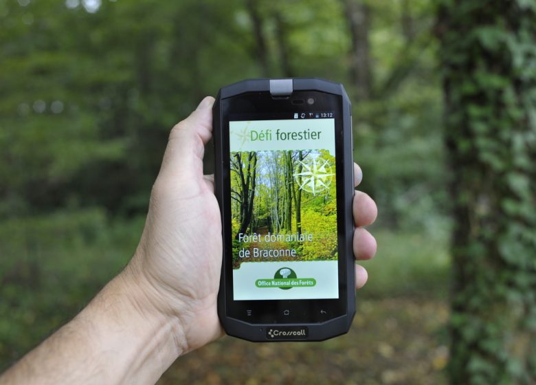 Forêt de la Braconne