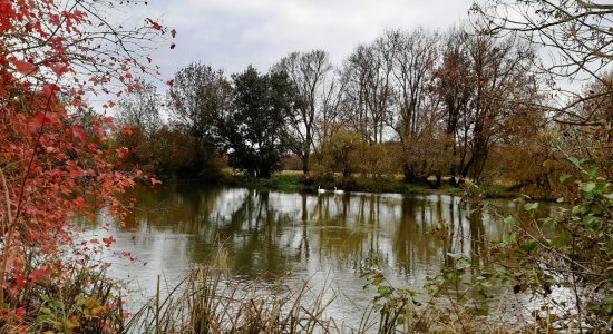 Circuit des vignes