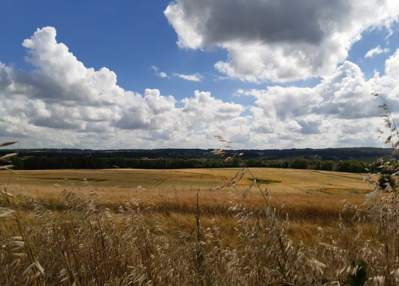 Circuit de Trotte-Renard
