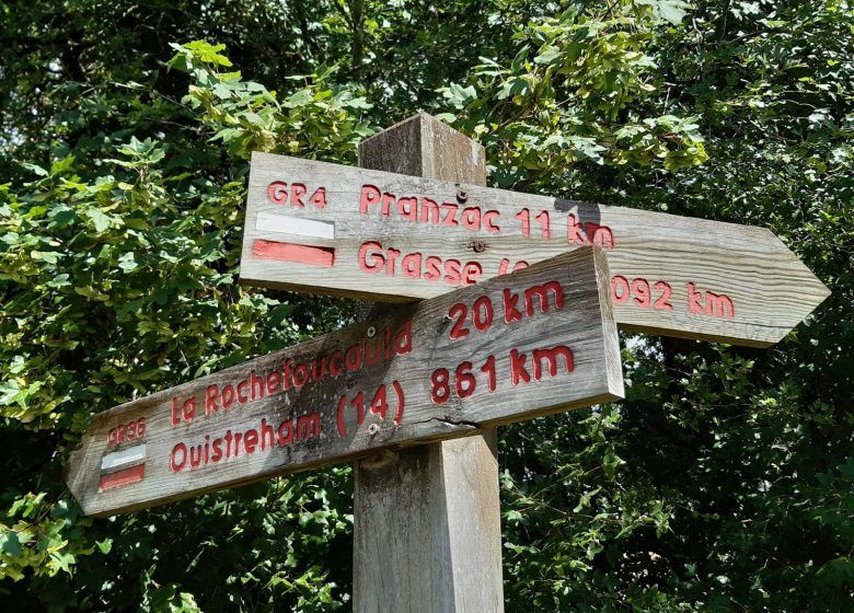 Circuit de Trotte-Renard