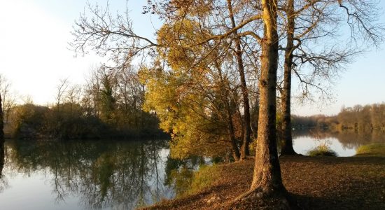 Circuit de la petite prairie