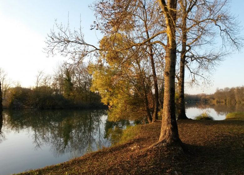 Circuit de la petite prairie