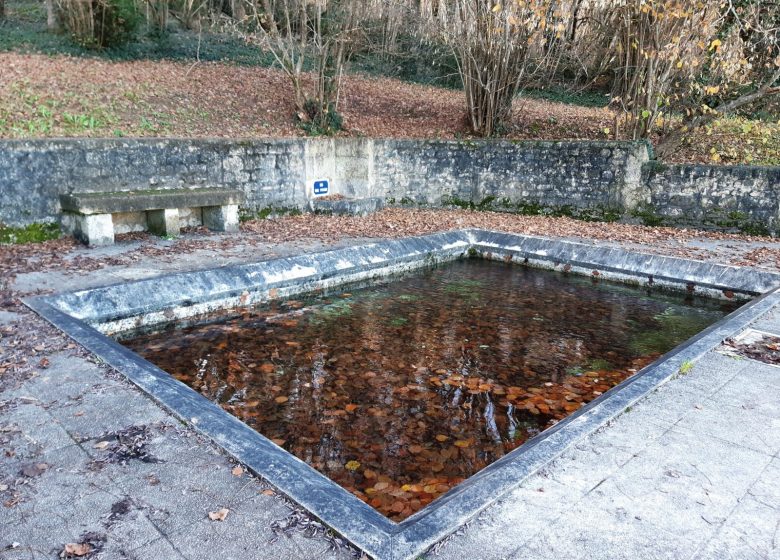 Circuit de la petite prairie