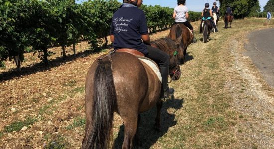 Le Bercail Equitation