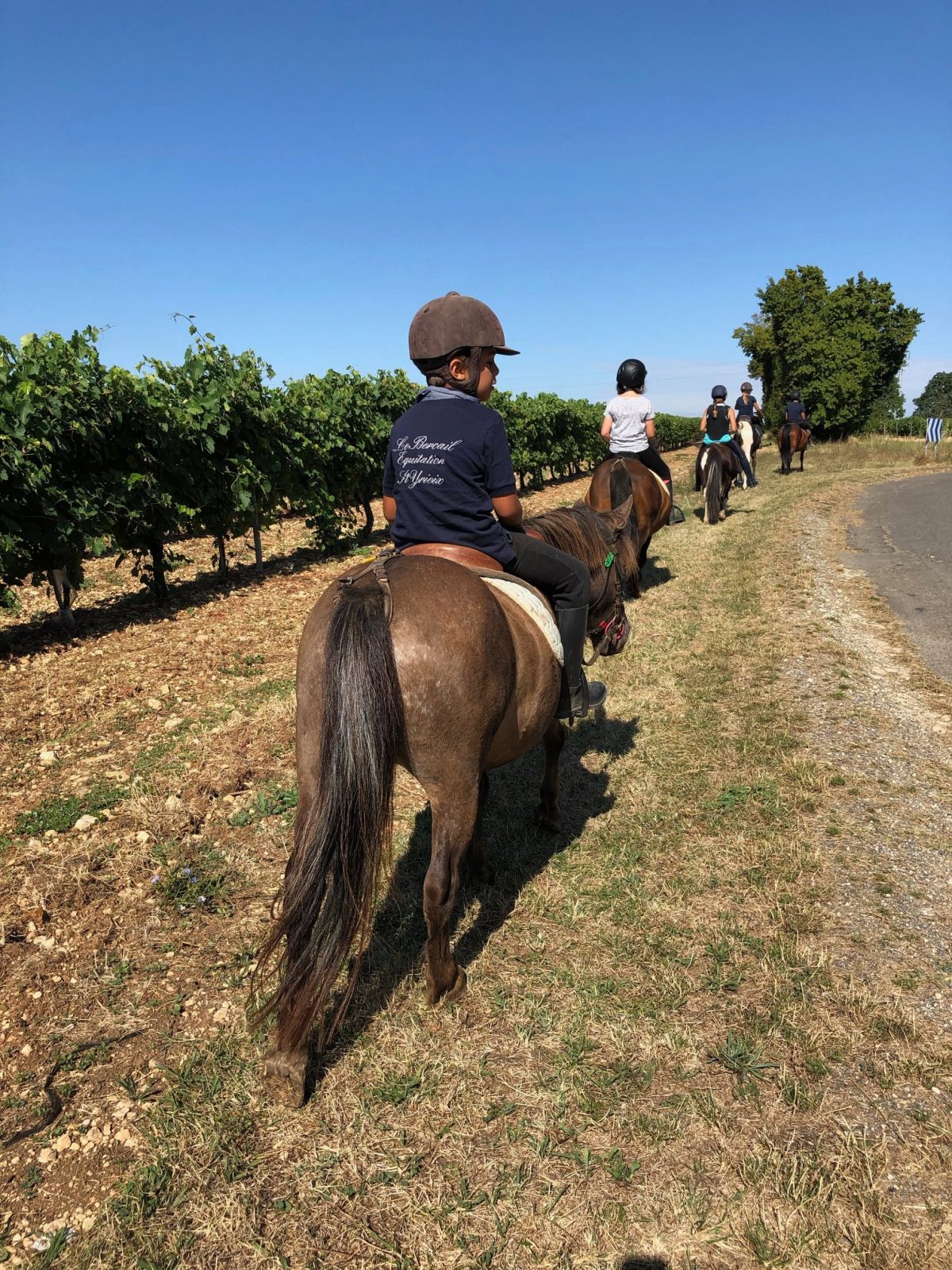 EARL Le Bercail Equitation