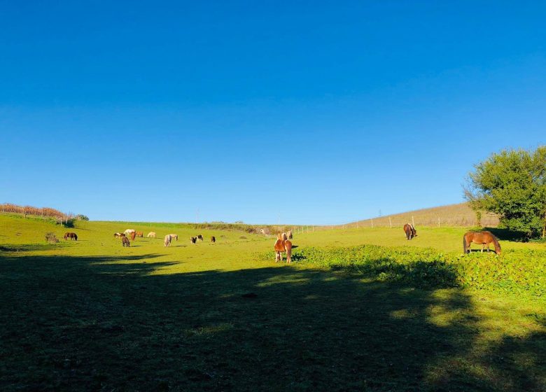 Le Bercail Equitation