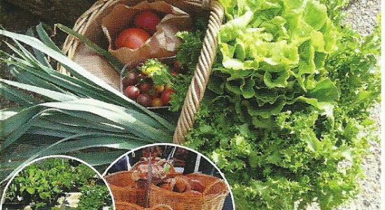 Marché bio de Puymoyen